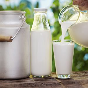 Organic Buffalo Milk
