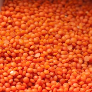 Red Lentils (Masoor Dal)