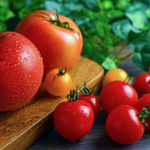 Fresh Tomatoes